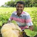 Isha Agro Movement