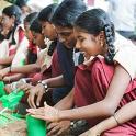 Green School Movement