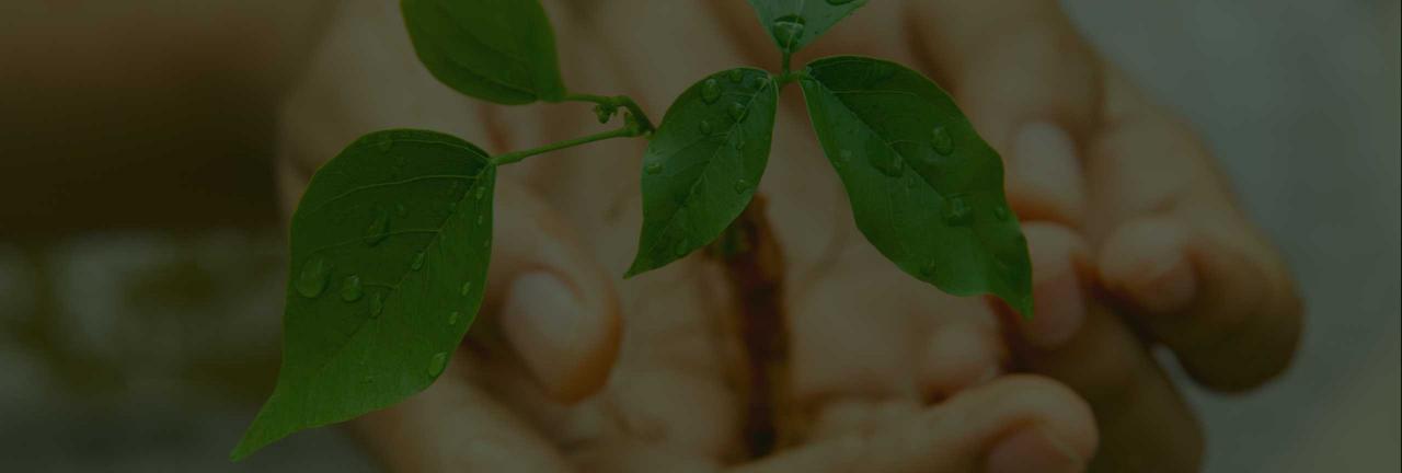 About Project Greenhands