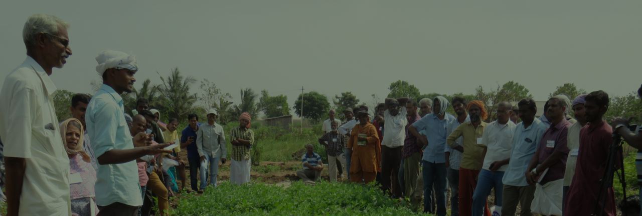 FARMER TO FARMER SHARING