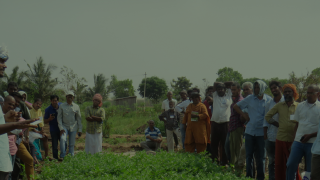 FARMER TO FARMER SHARING
