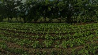 Innovative RegenAg Practices