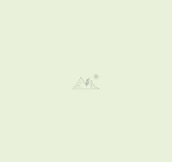 SS-TKV1