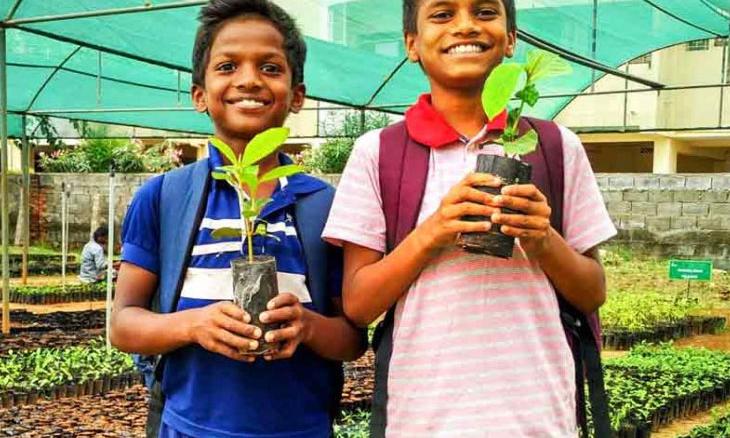 PGH to Plant 4 Million Trees in 2016