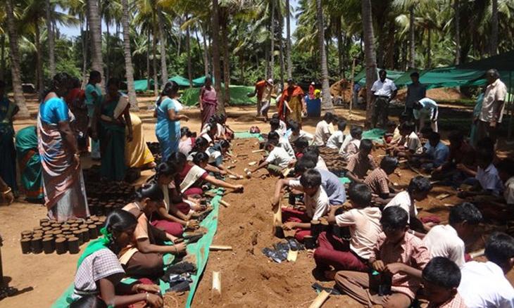 New Trees, New Life – Project GreenHands Quarterly Report