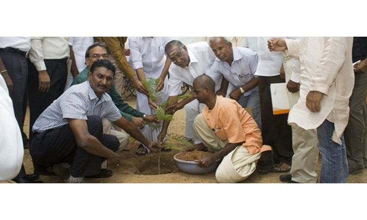 The Green School Movement