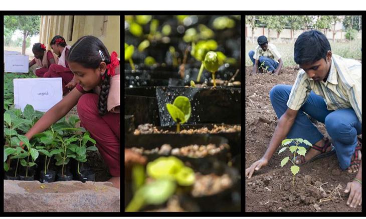 Project GreenHands: The People Behind 30 Million Saplings
