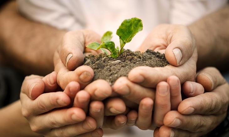 Why You Should Help a Farmer by Planting Trees