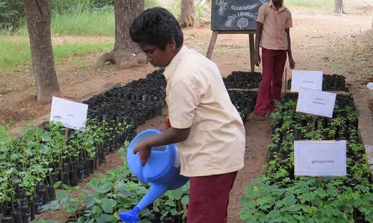 PGH – Green School Movement: An Enormous Feat by Tiny Hands