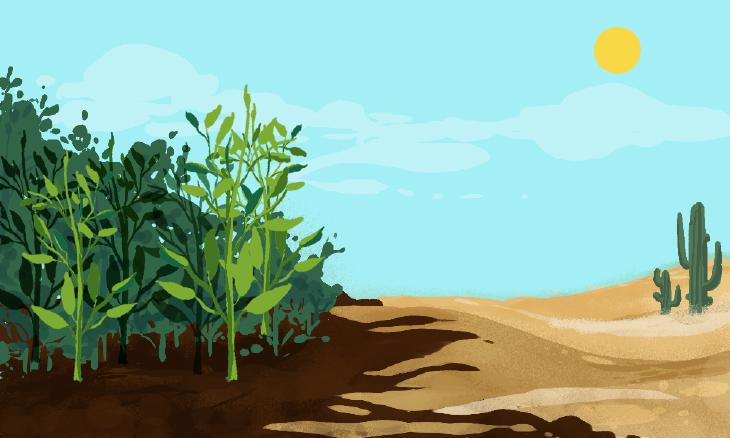 soil-bad-condition