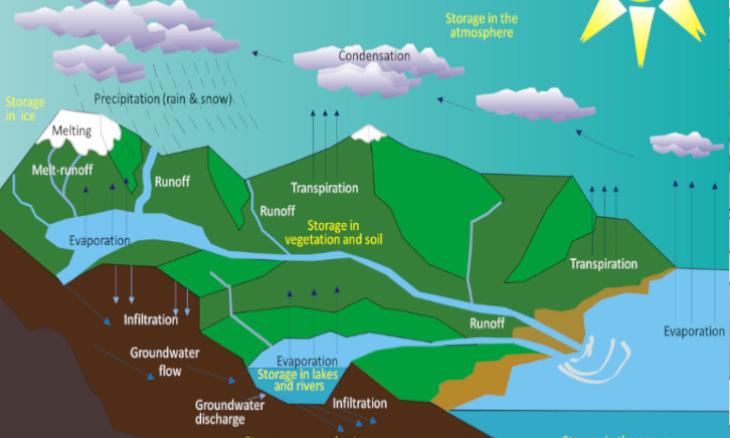 Getting to Know Your Water Footprint