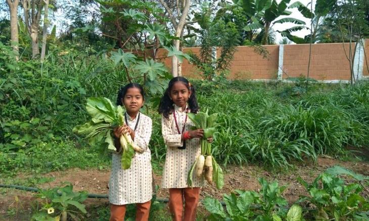 IshaVidhya-Blog-Kitchen-Garden