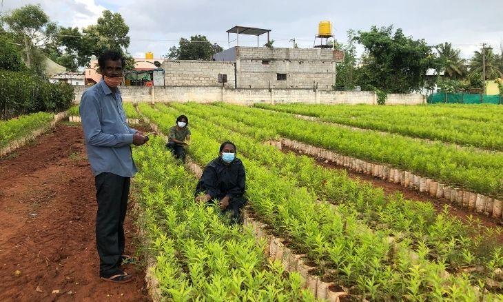 Cauvery Calling: An Environmental Phenomenon