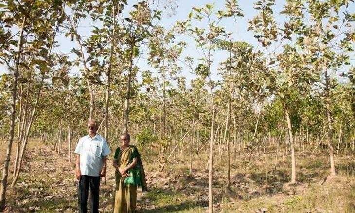 World Environment Day: The Bounty of a Barren Land