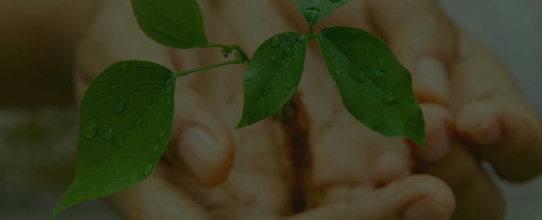 About Project Greenhands