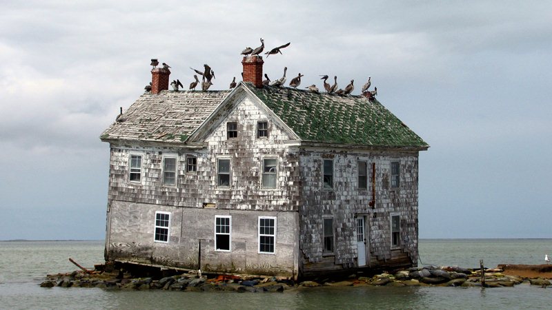 blog_alternate_img